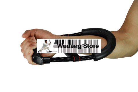 Adjustable Wrist Strength Trainer - Wudang Store