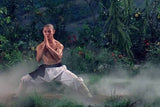 Custom Listing: Jet Li Inspired White Shaolin Kung Fu Pants with Black Tie