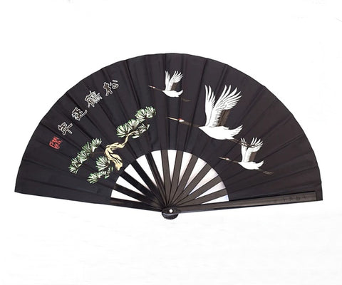 chinese tai chi fan