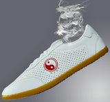 tai chi shoes